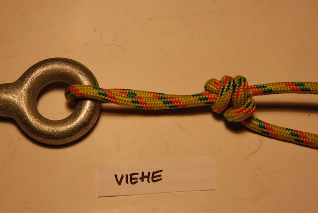 Tiedosto:Viehe 3.jpeg