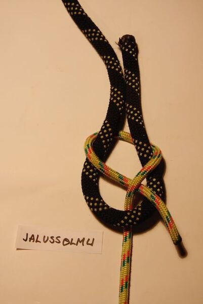 Tiedosto:Jalussolmu 1.jpeg